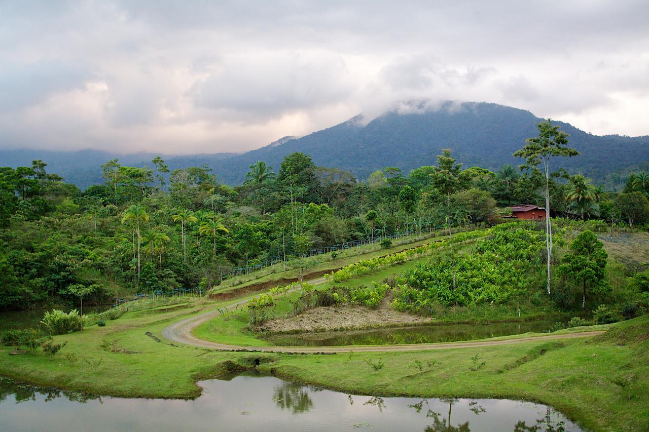 La Anita Rain Forest Colonia Dos Rios Exterior photo