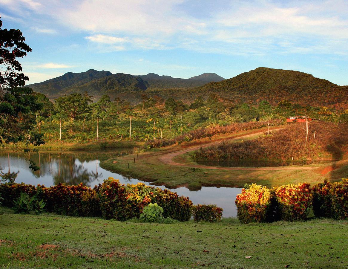 La Anita Rain Forest Colonia Dos Rios Exterior photo