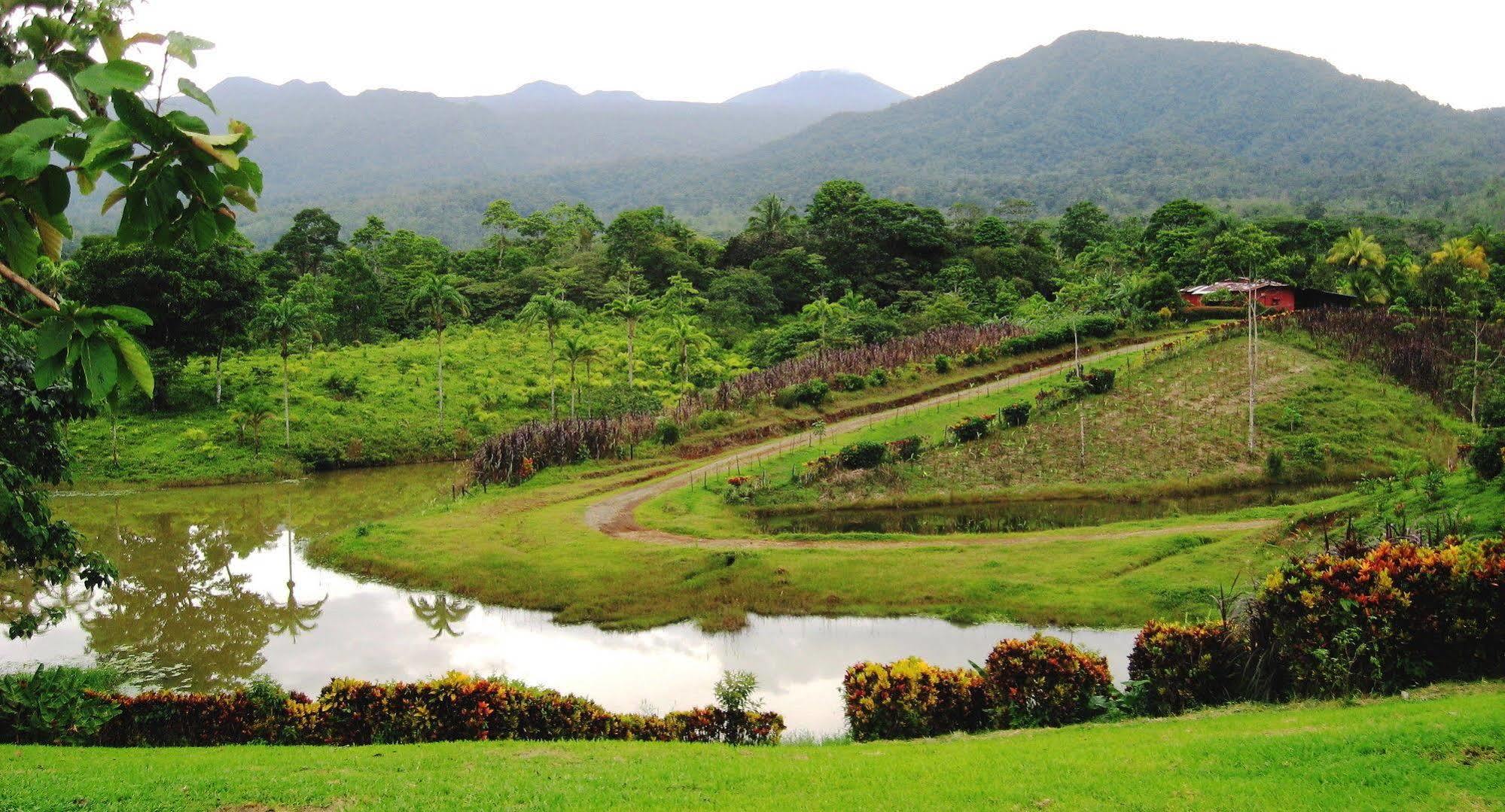 La Anita Rain Forest Colonia Dos Rios Exterior photo